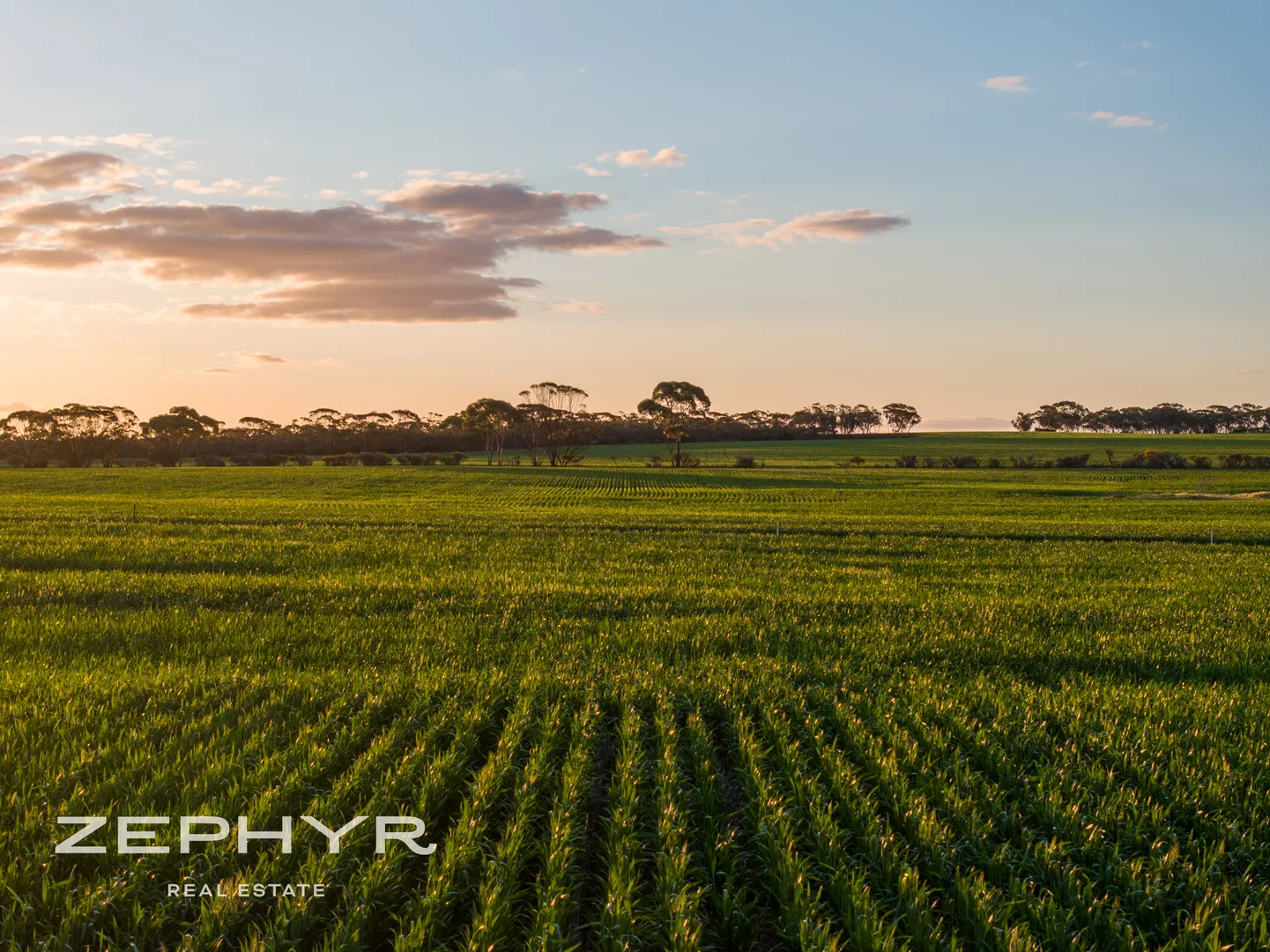 Additional image 9 of 6865 Emu Fence Road, Skeleton Rock WA 6426