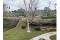 Additional image 38 of 13294 Wimberly Sq Unit 228, San Diego, CA, 92128