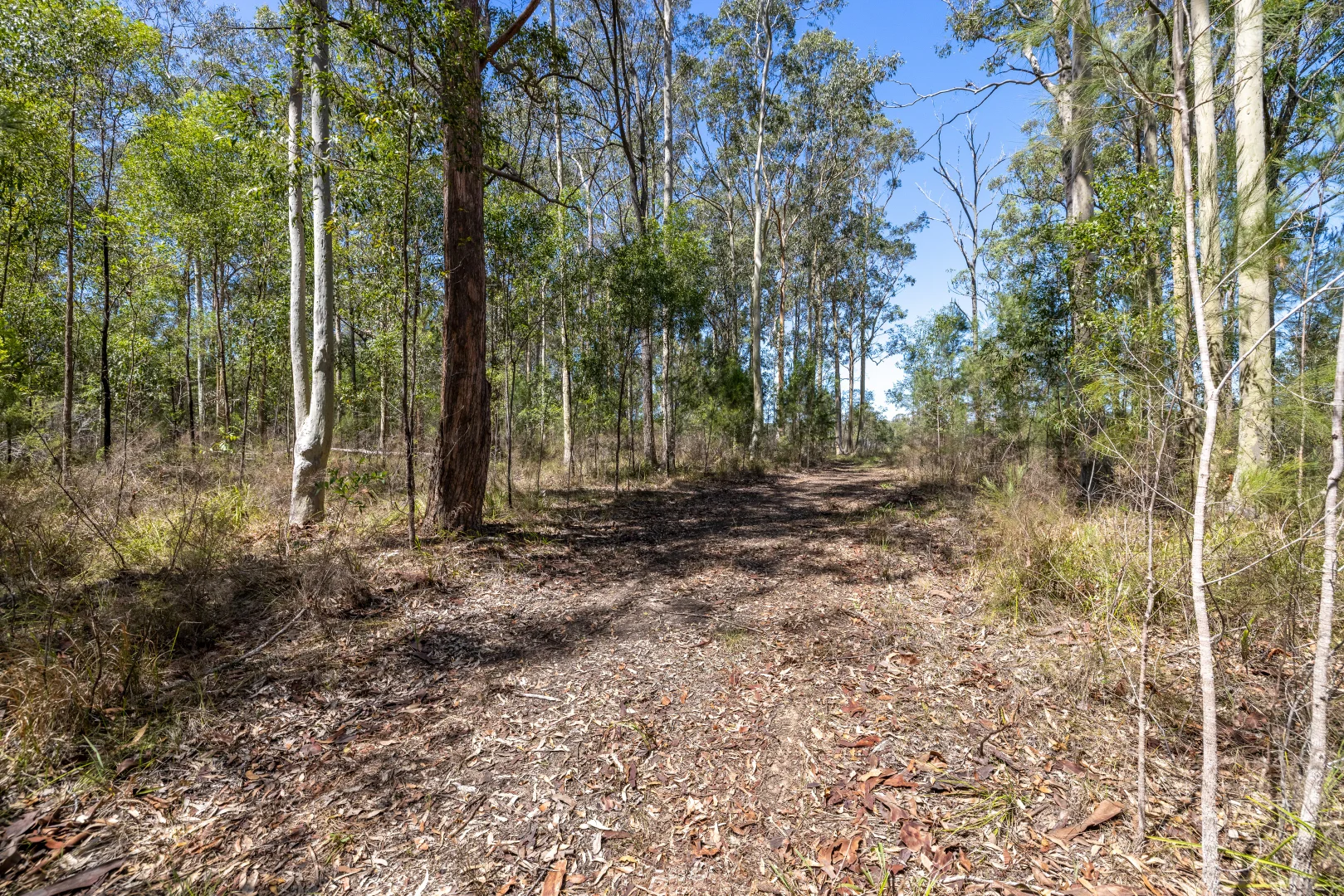 Additional image 5 of Lot 26 Warrina Circuit, Minimbah NSW 2312