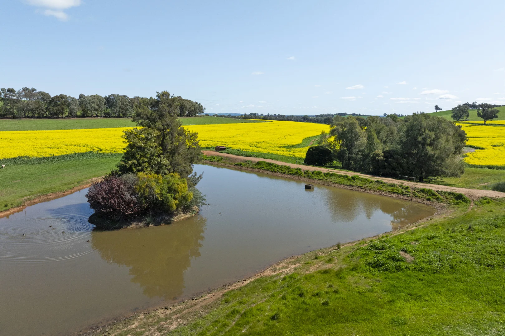 Additional image 36 of 2056 Benalla-Yarrawona Road, Bungeet West VIC 3726