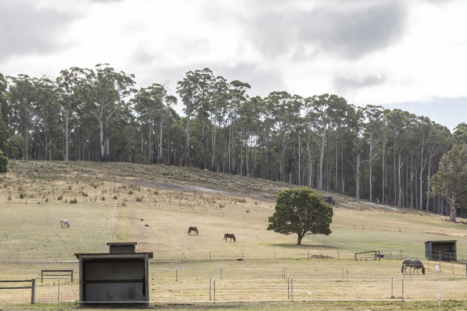 Additional image 13 of 5456 Bridport Road, Pipers River TAS 7252