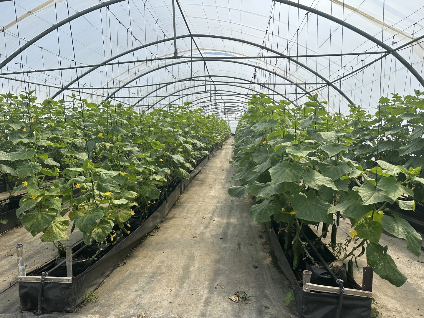 Additional image 7 of 30 Devonshire Road, Rossmore NSW 2557