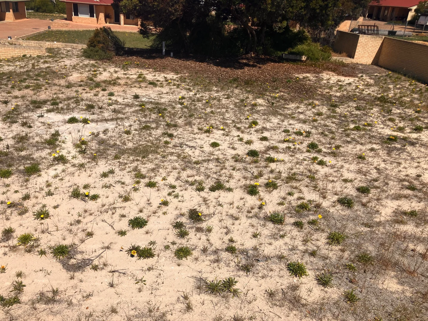 Additional image 14 of Lot 9/3 Raglan Street, Hopetoun WA 6348