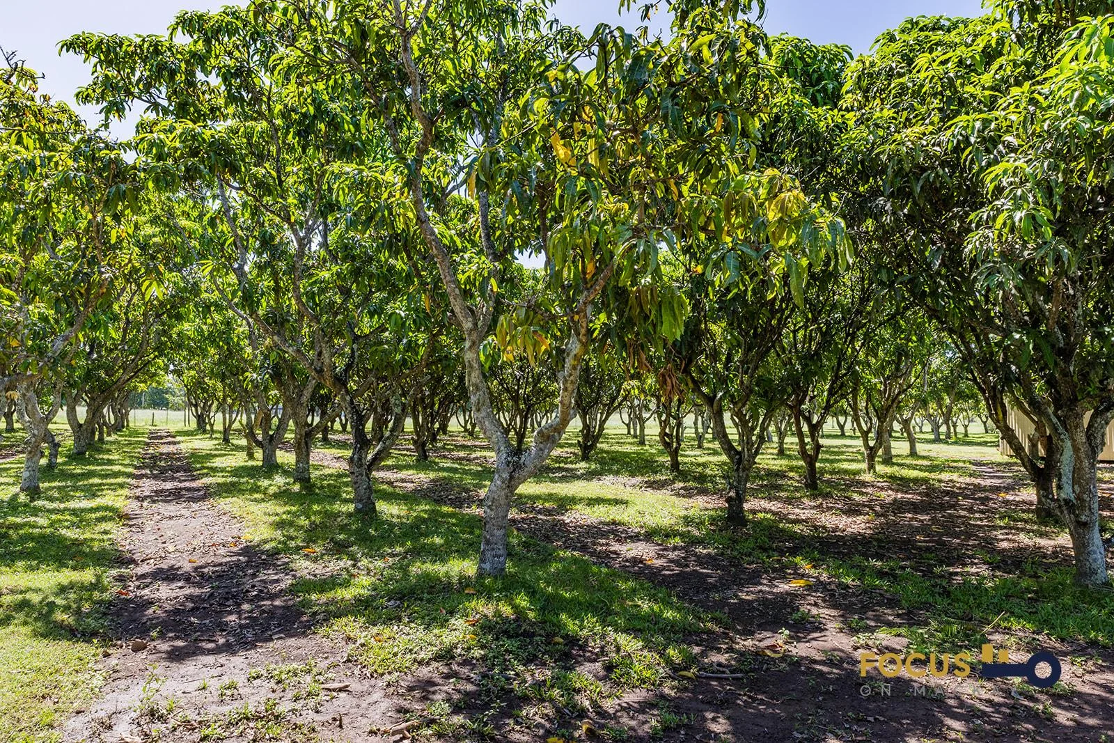 Additional image 25 of 979 Hay Point Rd, Hay Point QLD 4740