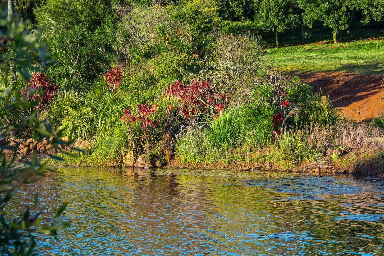 Additional image 15 of 145 Brooklet Road, Newrybar NSW 2479