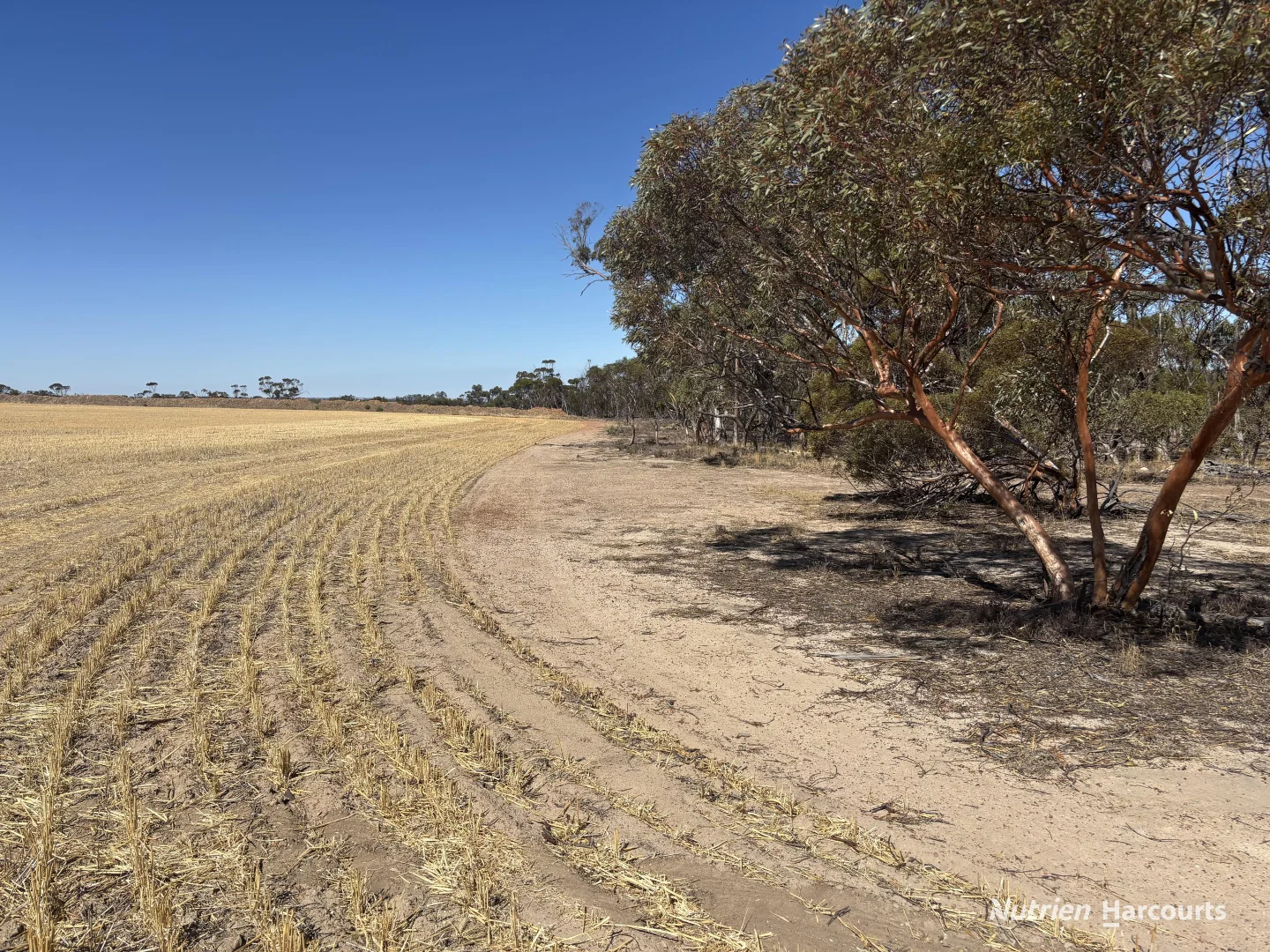 Additional image 9 of . 'Scotts', Yelbeni WA 6487