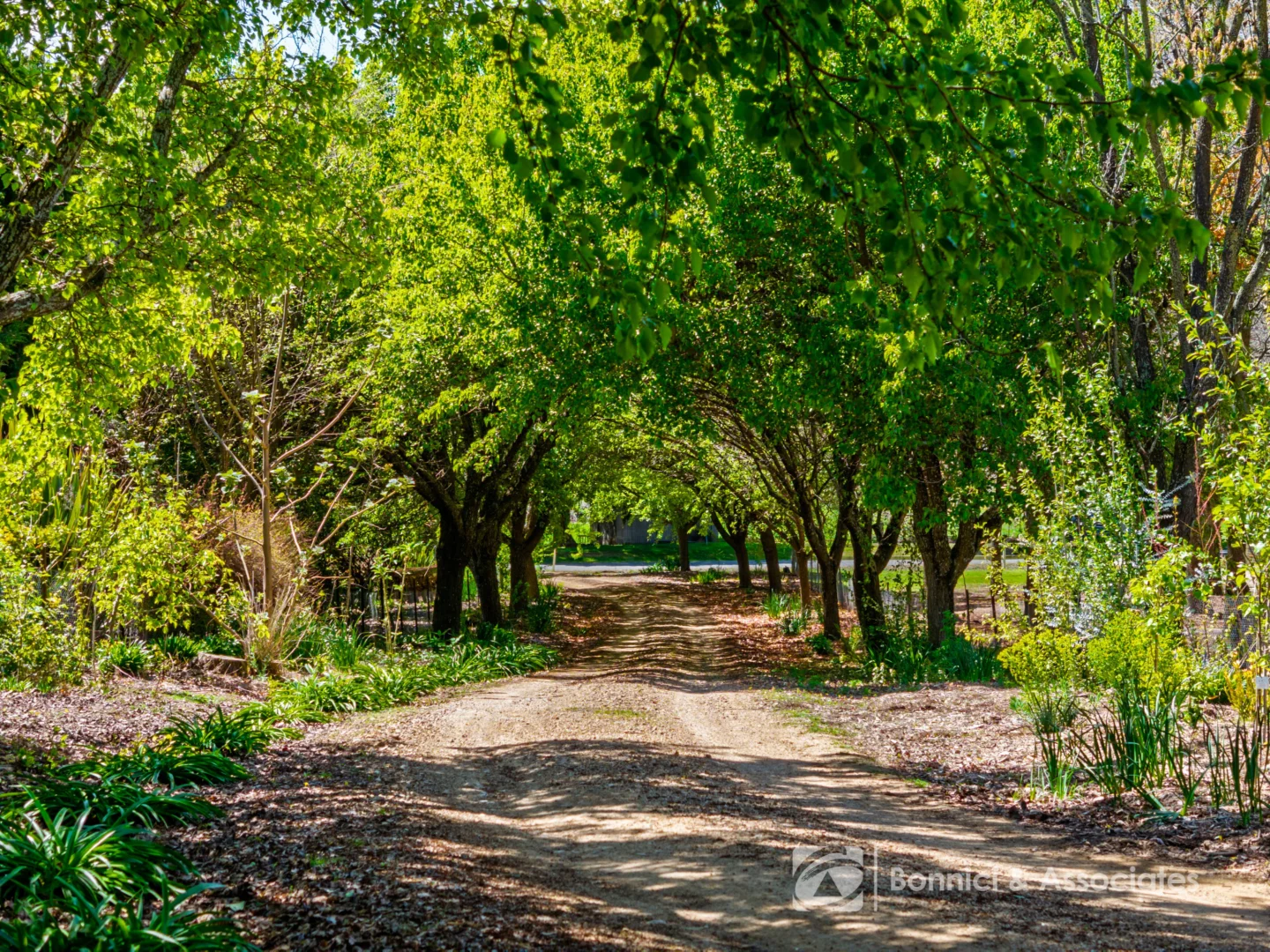 Additional image 25 of 10 Dingle Road, Beechworth VIC 3747