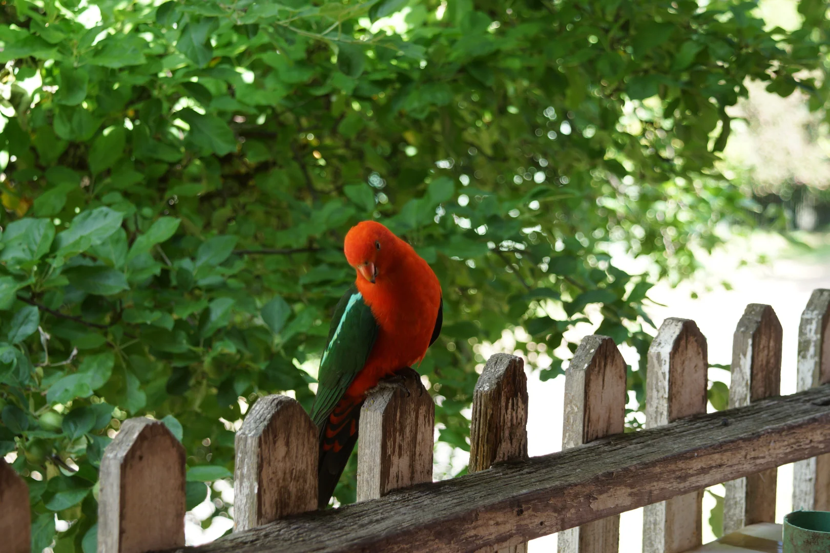 Additional image 24 of 30 Scott Street, Woods Point VIC 3723