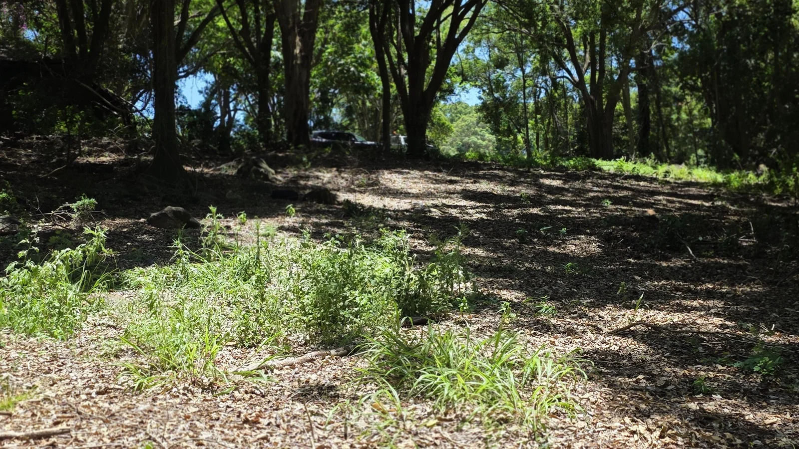 Additional image 9 of 70 North Teven Road, Teven NSW 2478