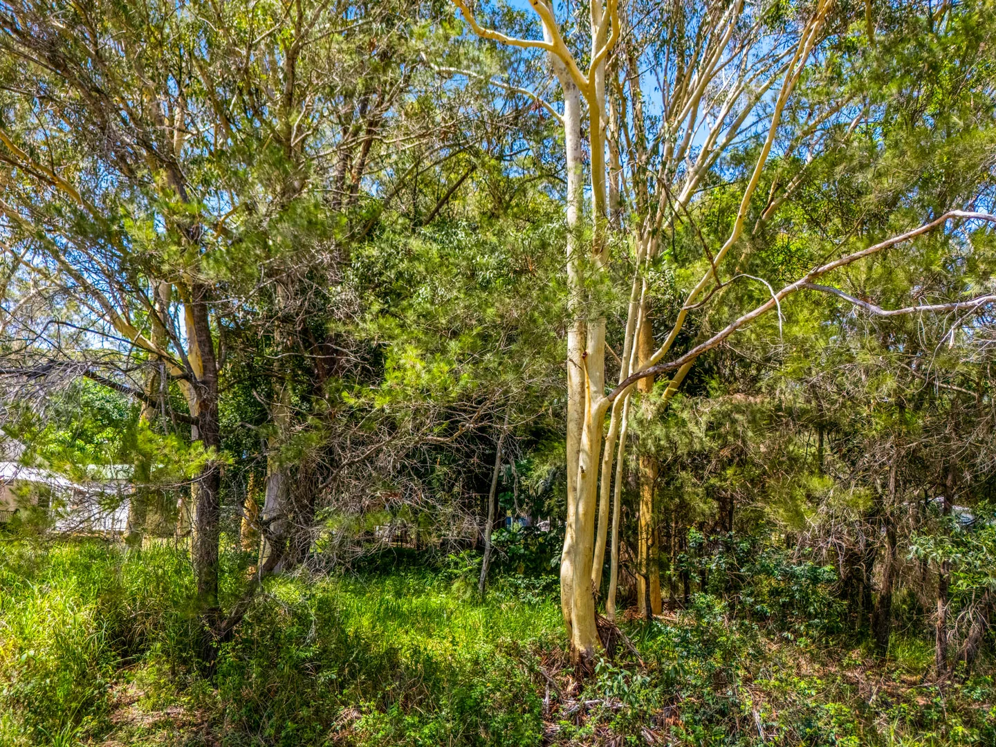 Additional image 6 of 22 Barcelona Terrace, Russell Island QLD 4184