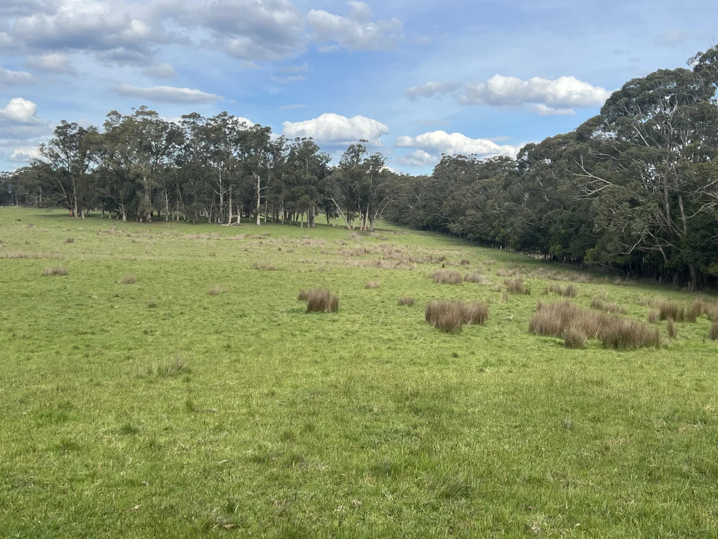 Additional image 6 of C/A 3 Birranes Road, Ashbourne VIC 3442