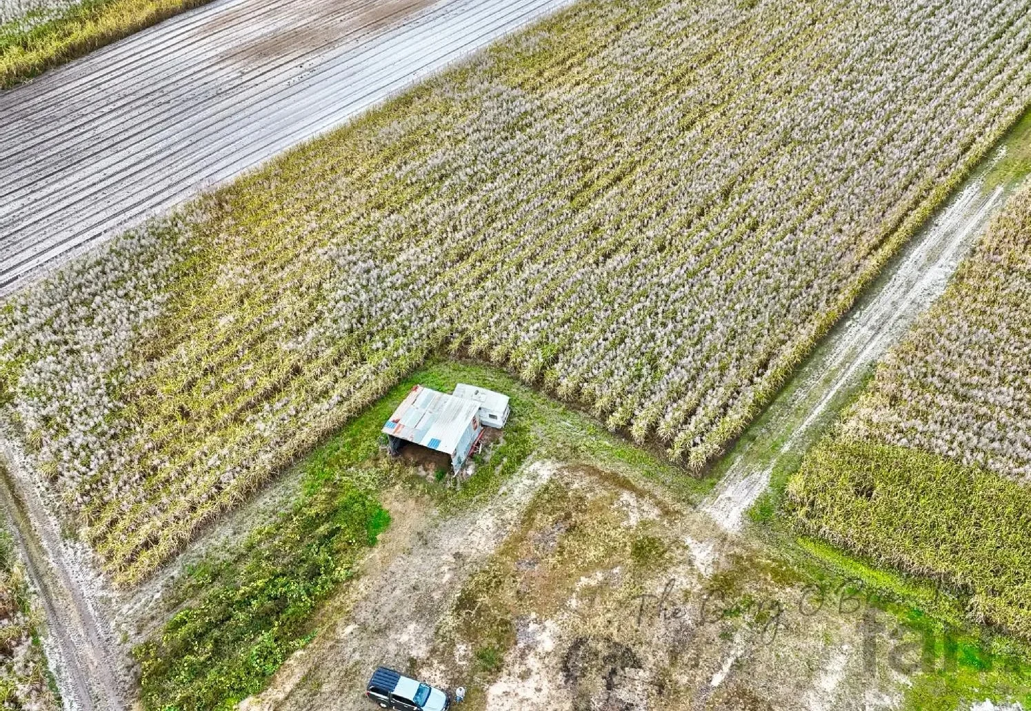 Additional image 11 of 1587 Stapylton Jacobs Well Road, Jacobs Well QLD 4208