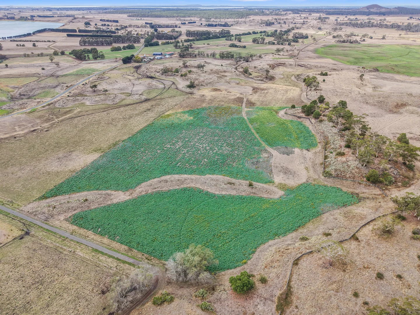 Additional image 42 of 401 Purrumbete Estate Road, Koallah VIC 3260