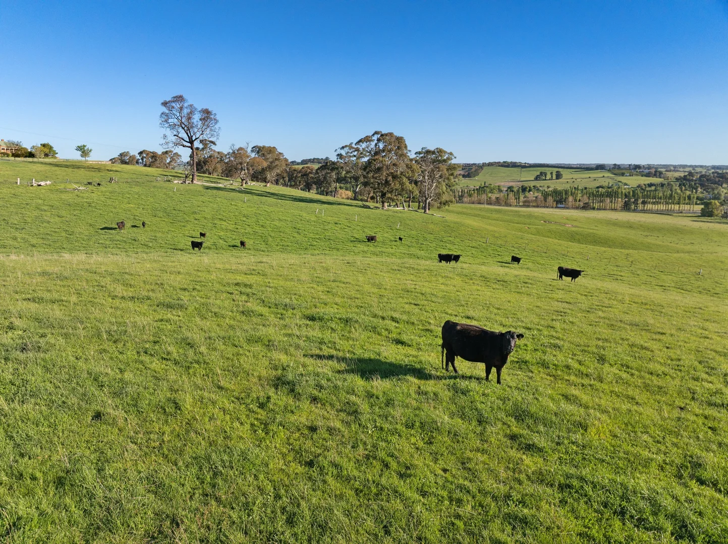 Additional image 5 of 5154 Mitchell Highway, Orange NSW 2800