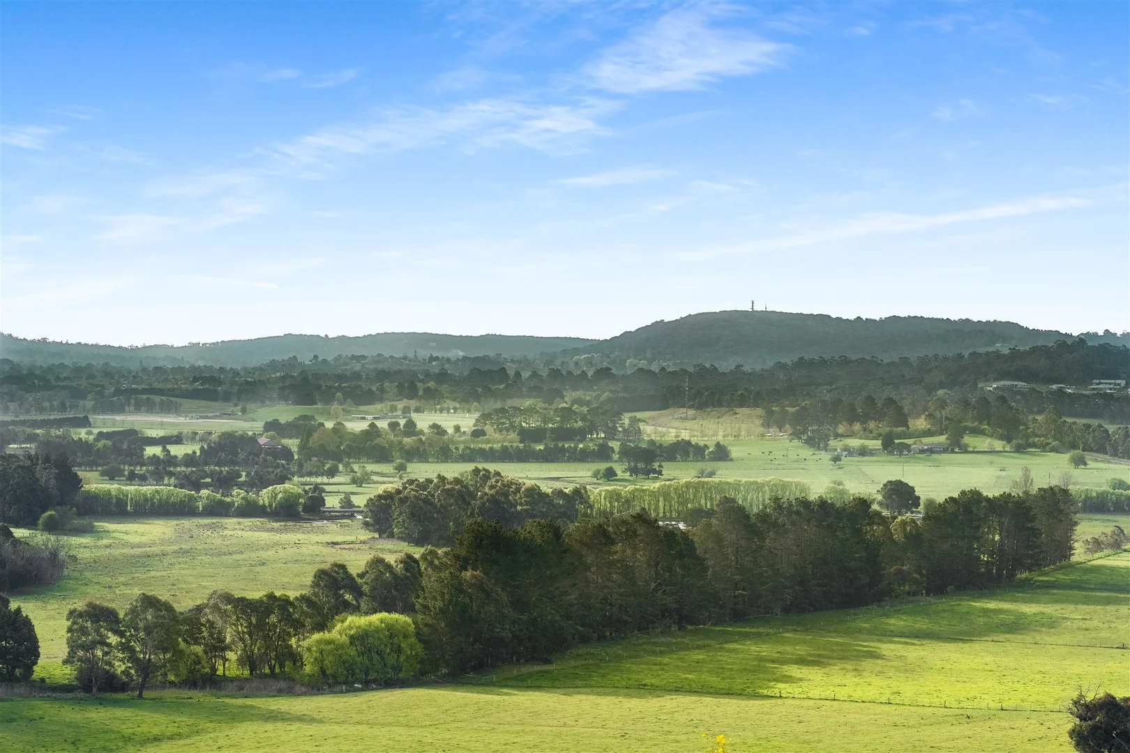 Additional image 22 of 790 Kangaloon Road, Glenquarry NSW 2576