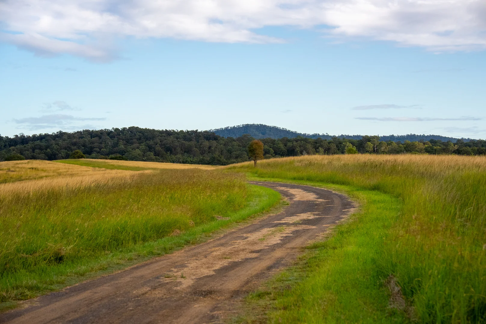 Additional image 22 of 3695 Beaudesert Nerang Road, Tabragalba QLD 4285