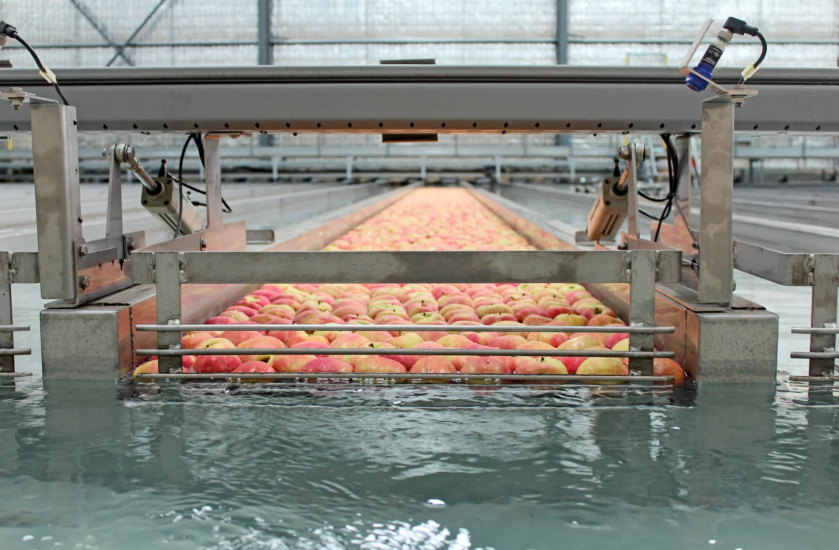 Additional image 18 of Orrvale VIC 3631