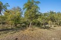 Additional image 28 of 259 10 Tooley Rd, Toledo, WA, 98591