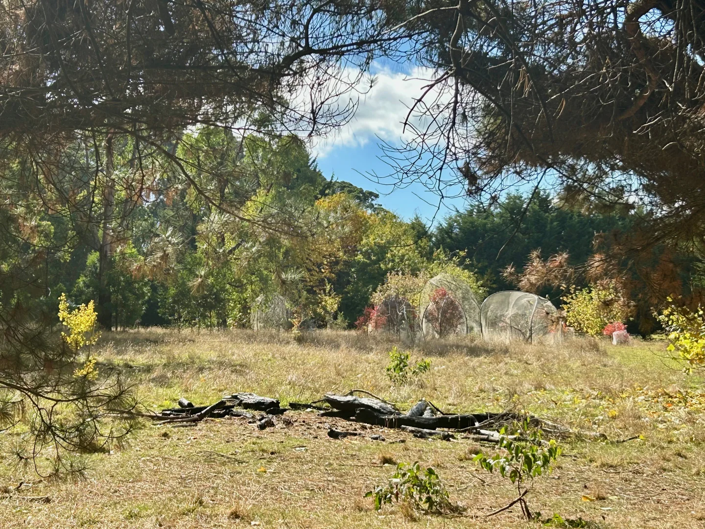 Additional image 14 of 85 Bluemount Road Trentham, Trentham VIC 3458