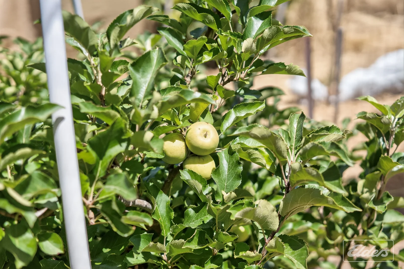 Additional image 53 of 839 Signal Flat Road, Finniss SA 5255