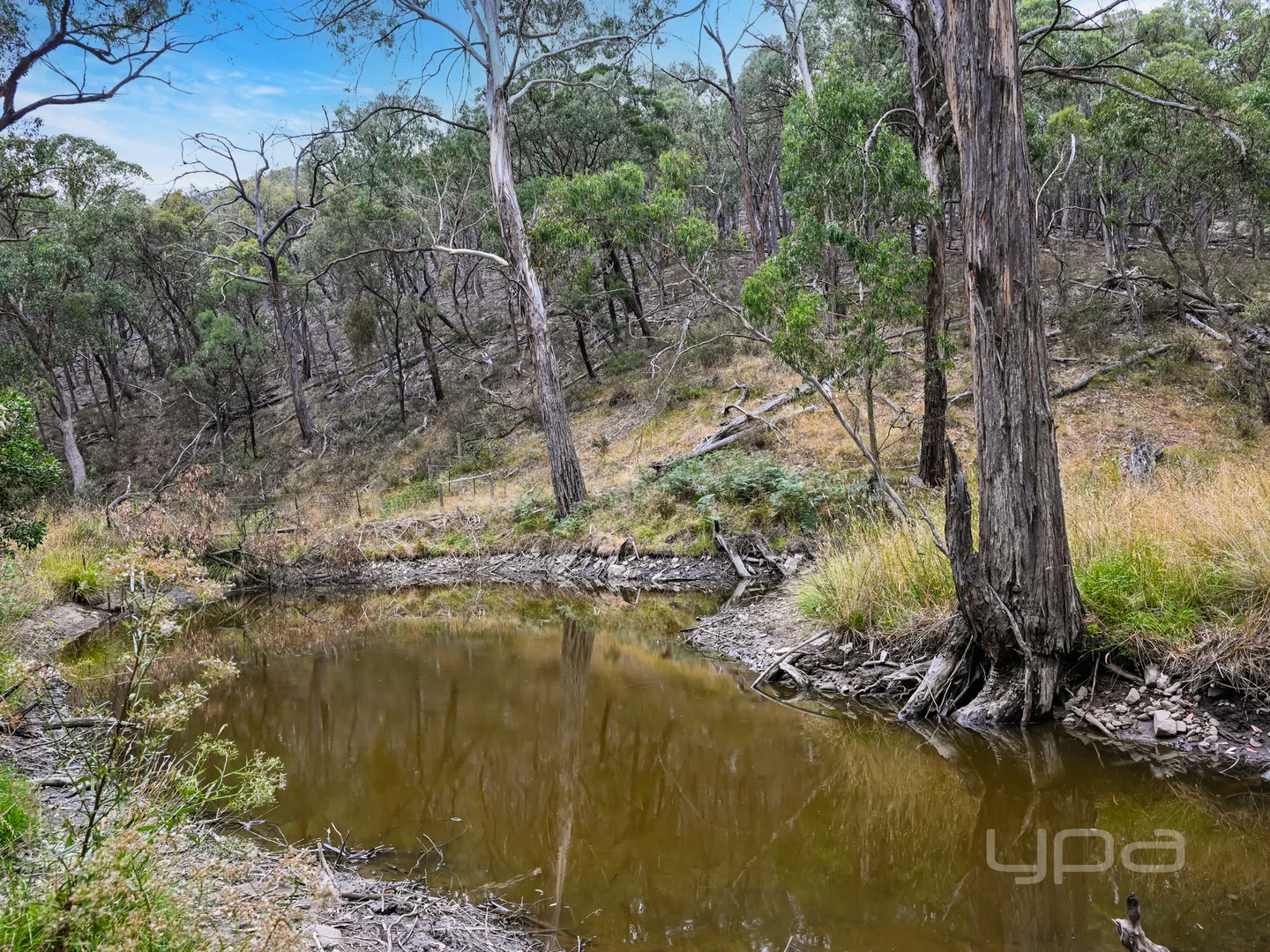 Additional image 31 of 231 Gisborne - Melton Road, Toolern Vale VIC 3337