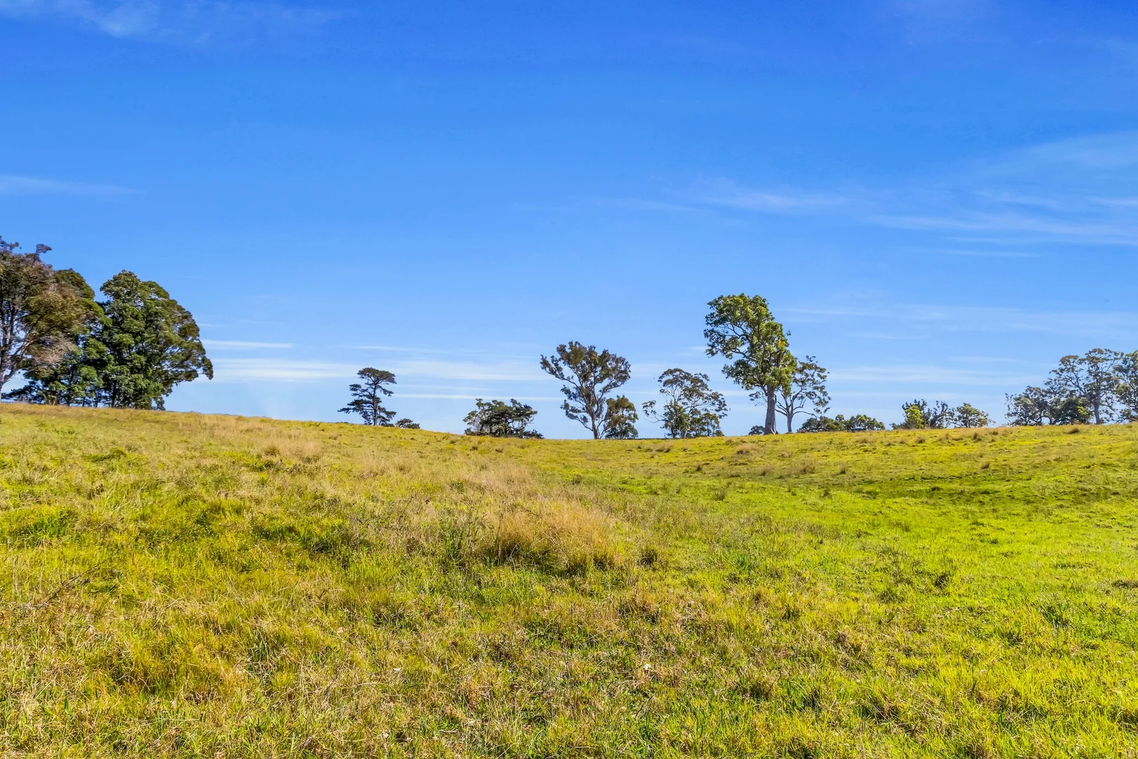 Additional image 25 of 90 Kerrisons Lane, Bega NSW 2550