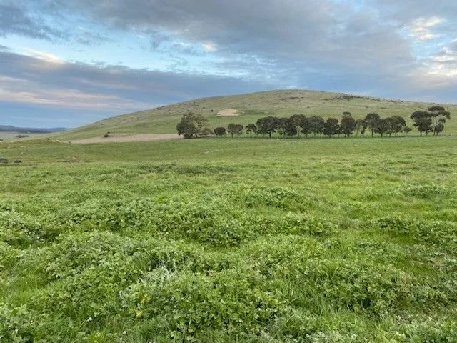 Additional image 10 of 31B/259 Greenoch Road, Red Lion VIC 3371