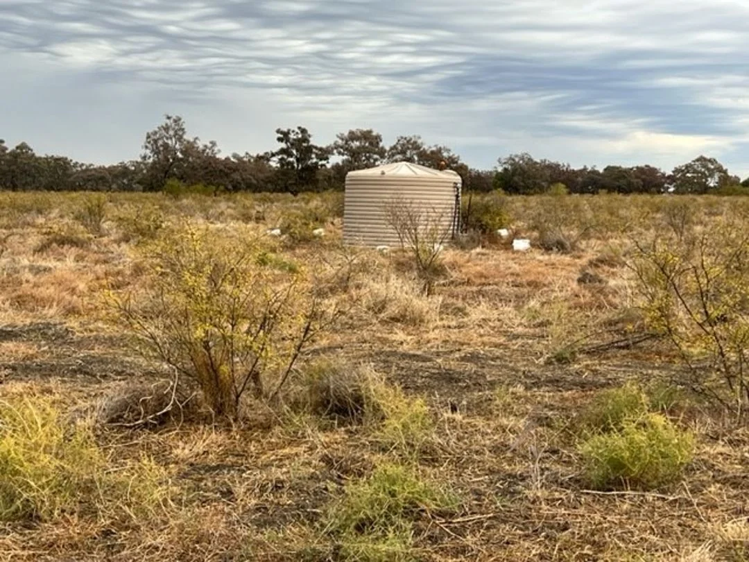 Additional image 9 of "Duffs Lea", Rowena NSW 2387