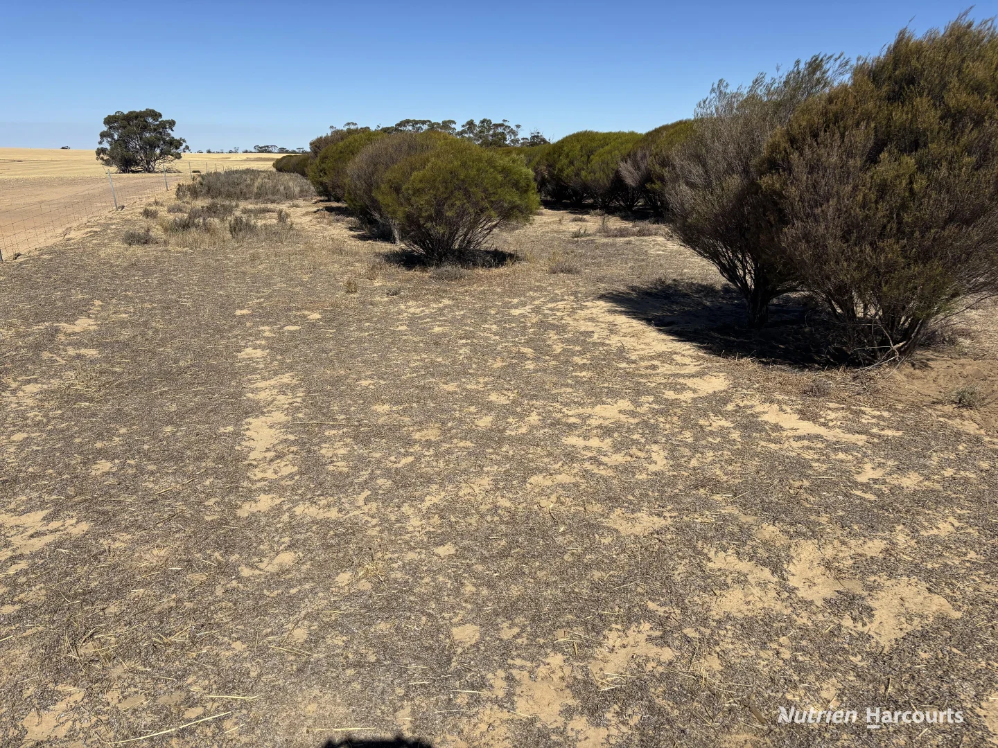Additional image 14 of . 'Scotts', Yelbeni WA 6487