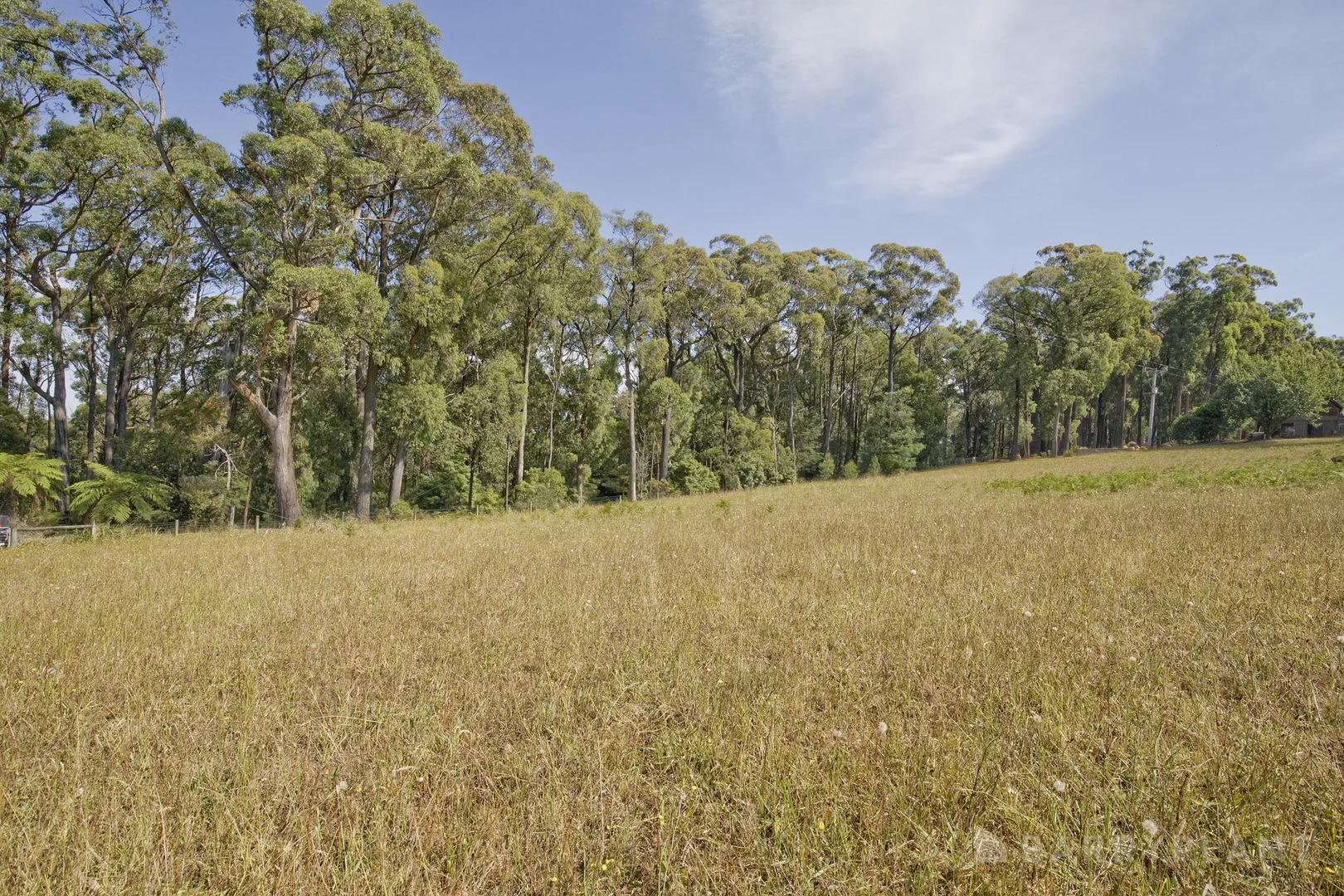 Additional image 8 of 90 Grey Road, Gembrook VIC 3783