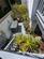Additional image 25 of Chudleigh Terrace, Bideford, Devon