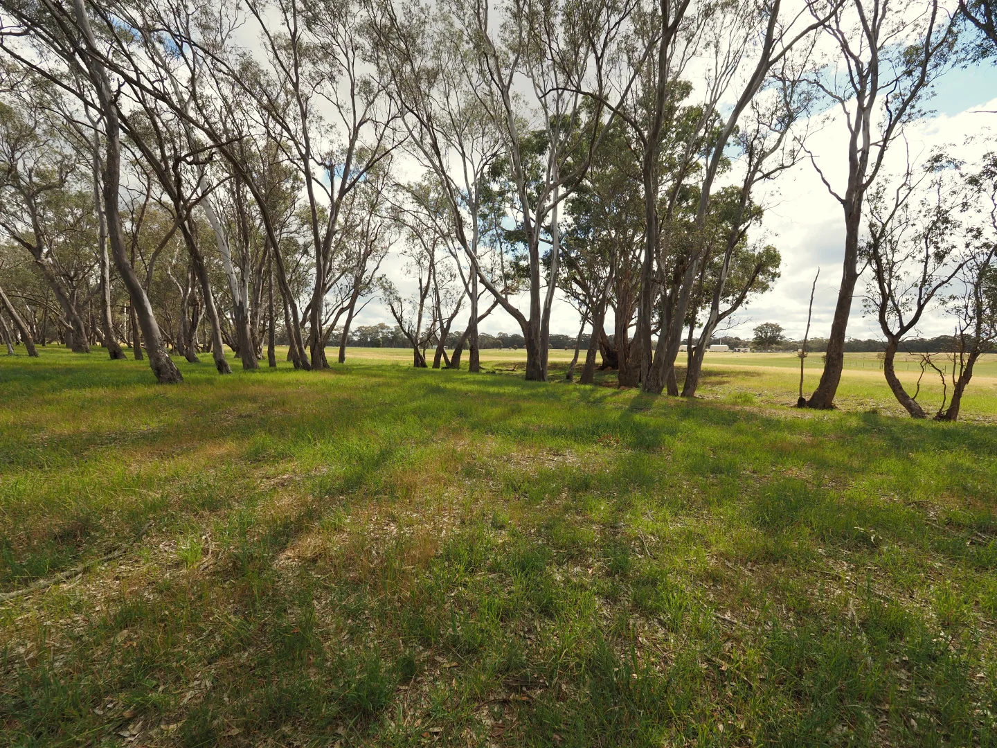 Additional image 13 of 10 Blacksmith Gully Road, Daisy Hill VIC 3465