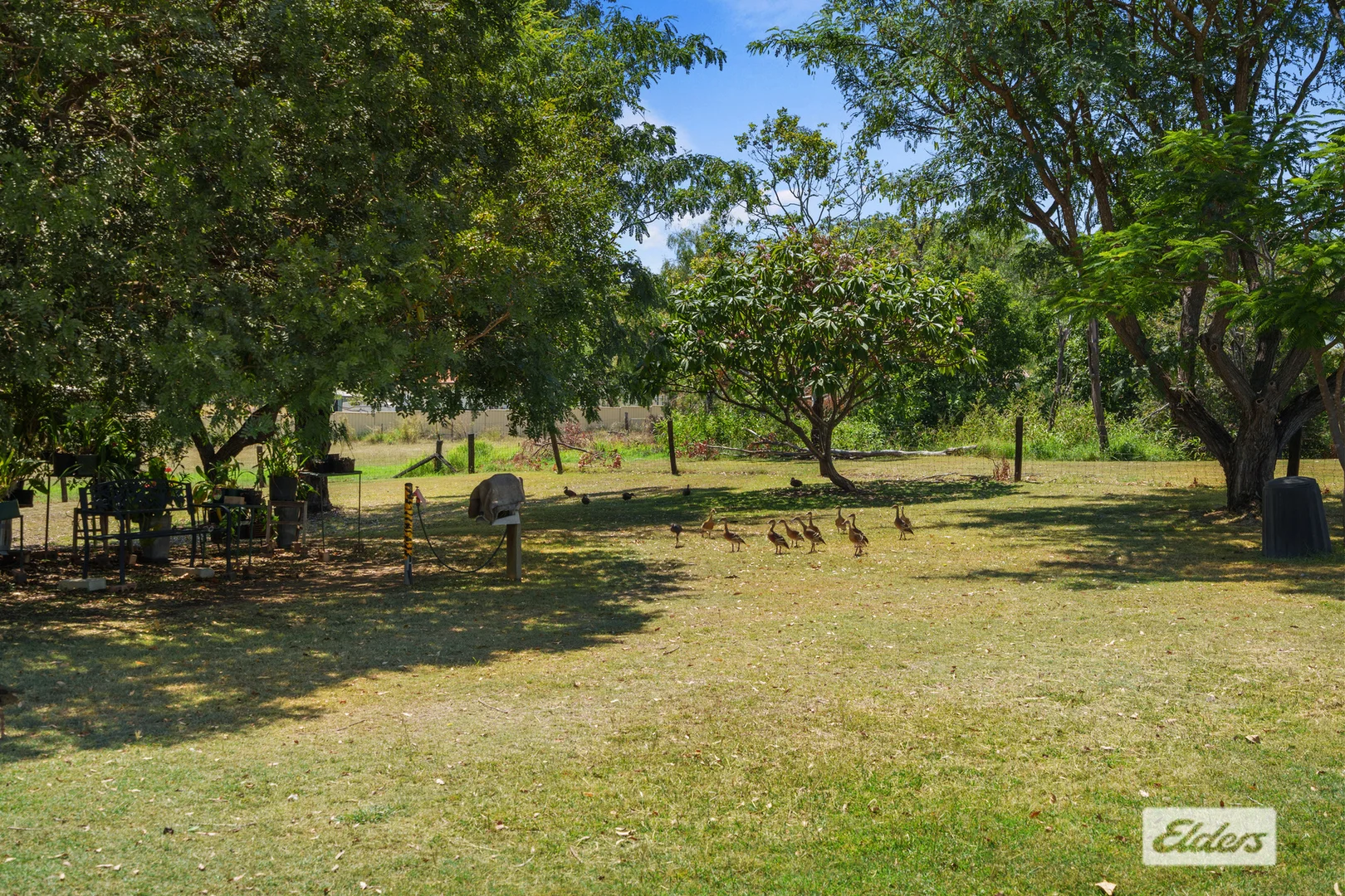 Additional image 26 of 11 Donaldson Road, Plainland QLD 4341