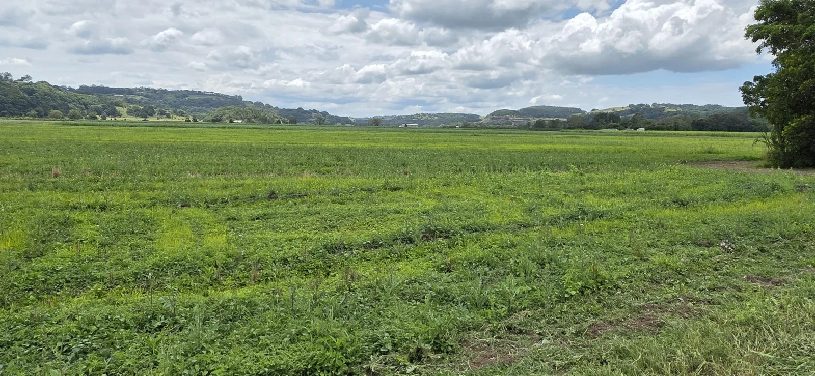 Additional image 8 of 423 Teven Road, Teven NSW 2478