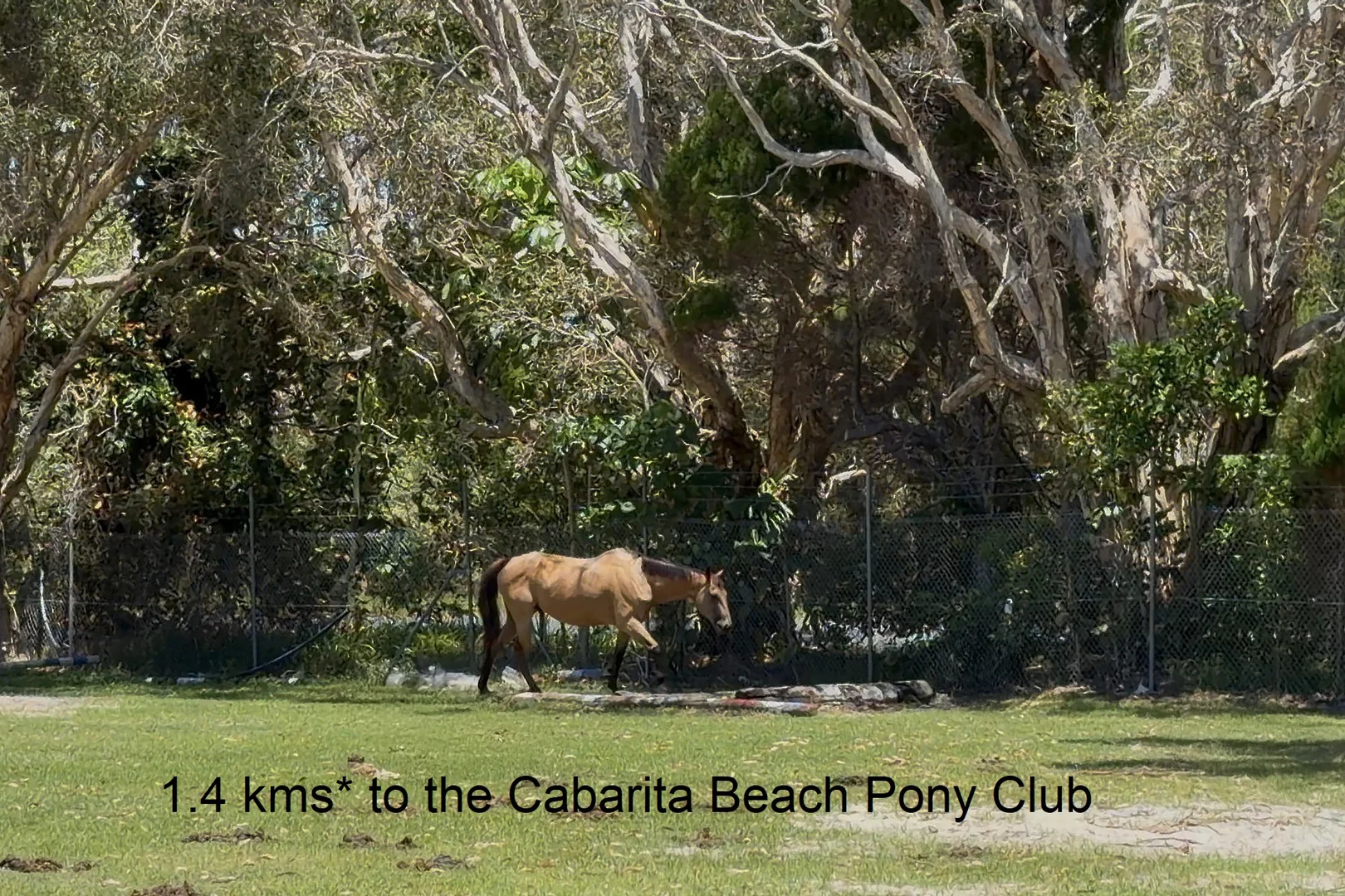 Additional image 3 of 144 Round Mountain Road, Round Mountain NSW 2484