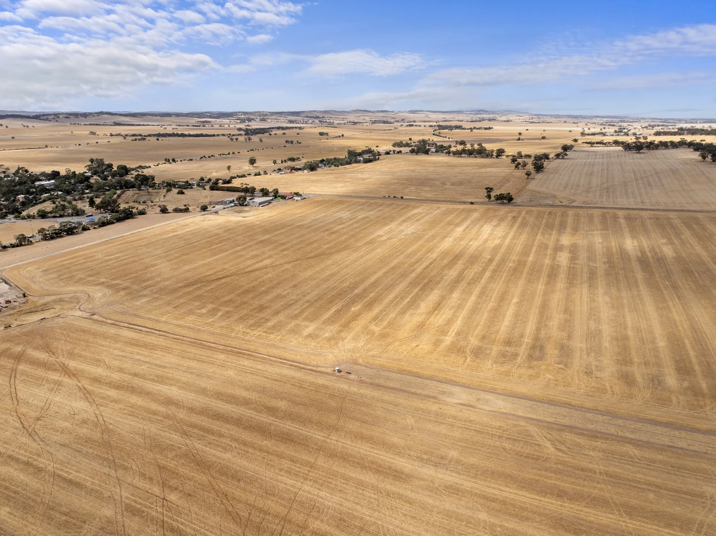Additional image 31 of 'Merilden Feedlot' & 'Brads', Manoora SA 5414