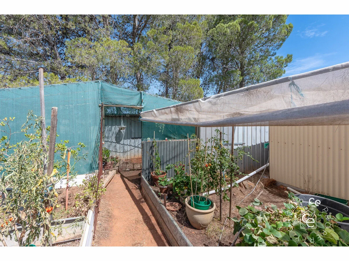 Additional image 22 of 444 Panican Hill Road, Rockleigh SA 5254