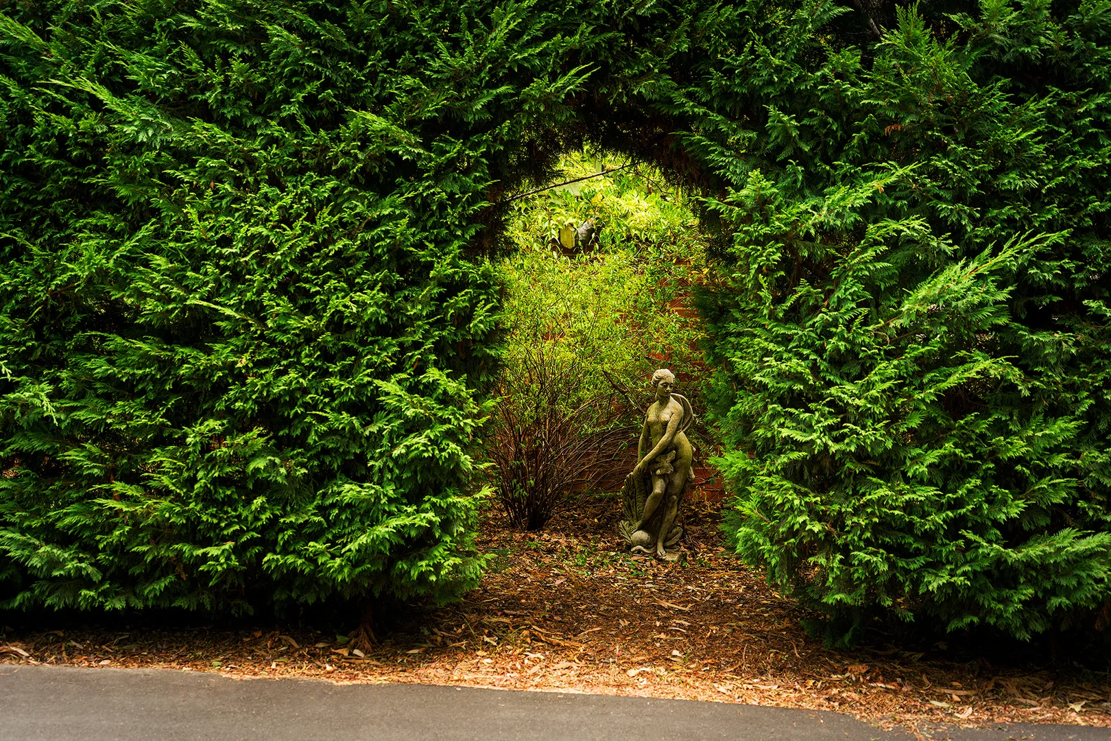 Additional image 14 of 1/6 Johnstone Street, Castlemaine VIC 3450