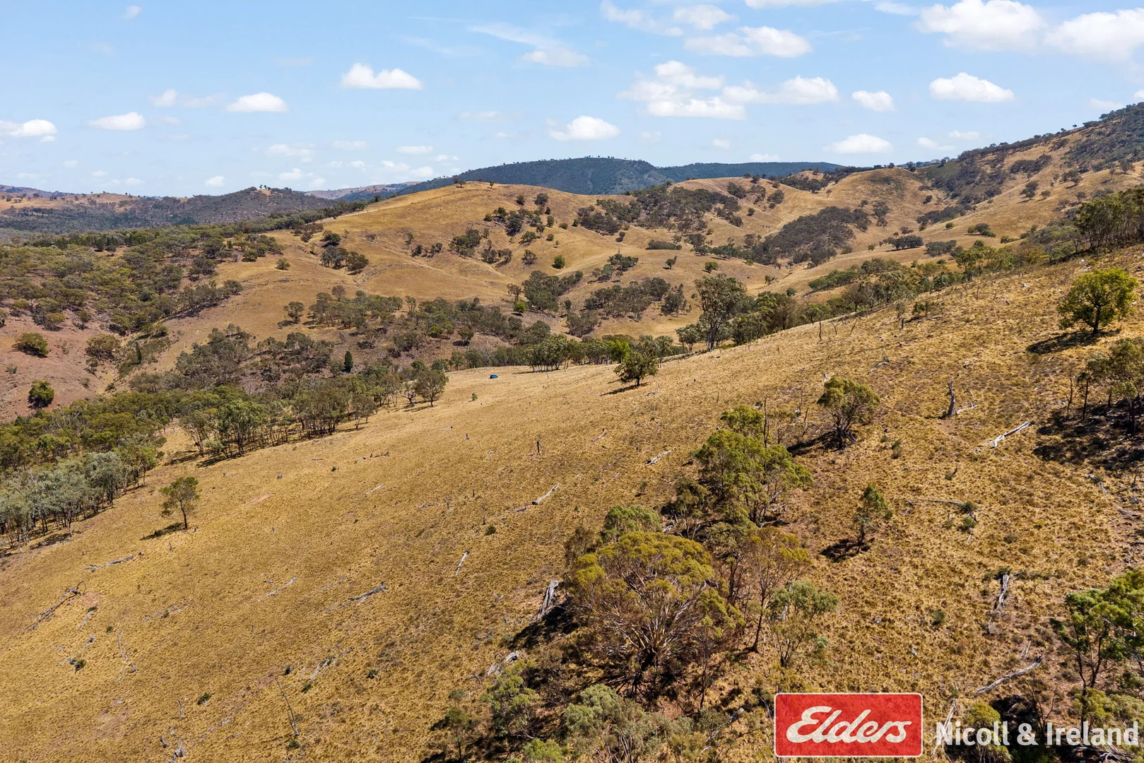Additional image 27 of 3548 The Bridle Track, Bruinbun NSW 2795