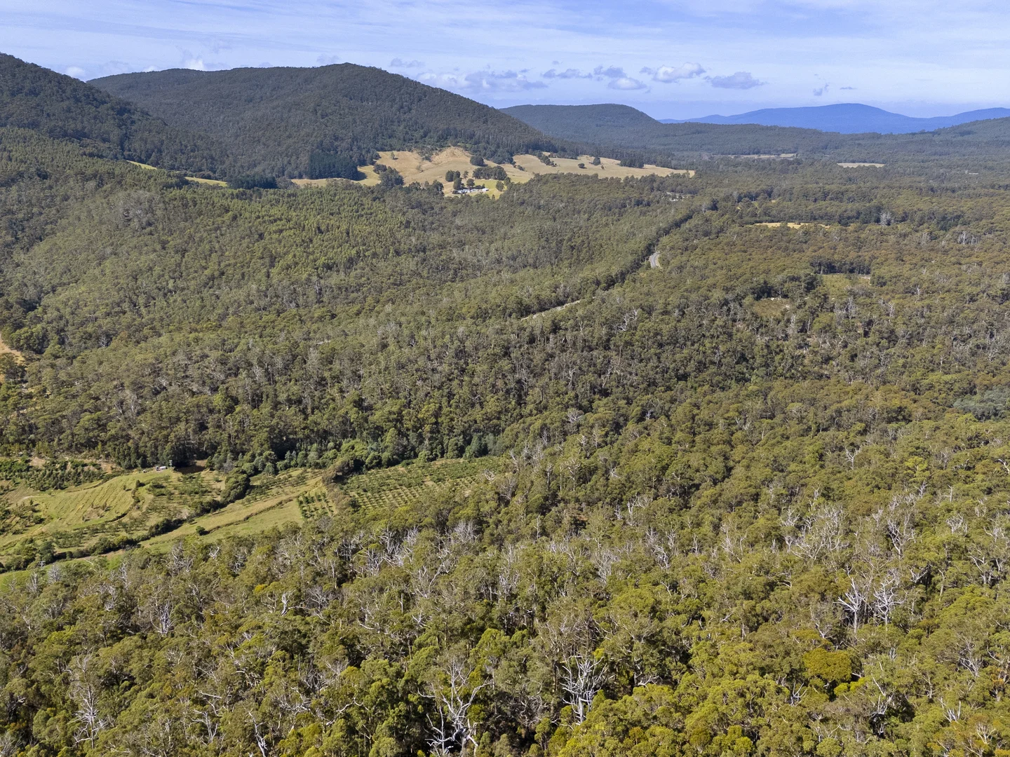 Additional image 30 of 2 and 3 White Beach Road, White Beach TAS 7184