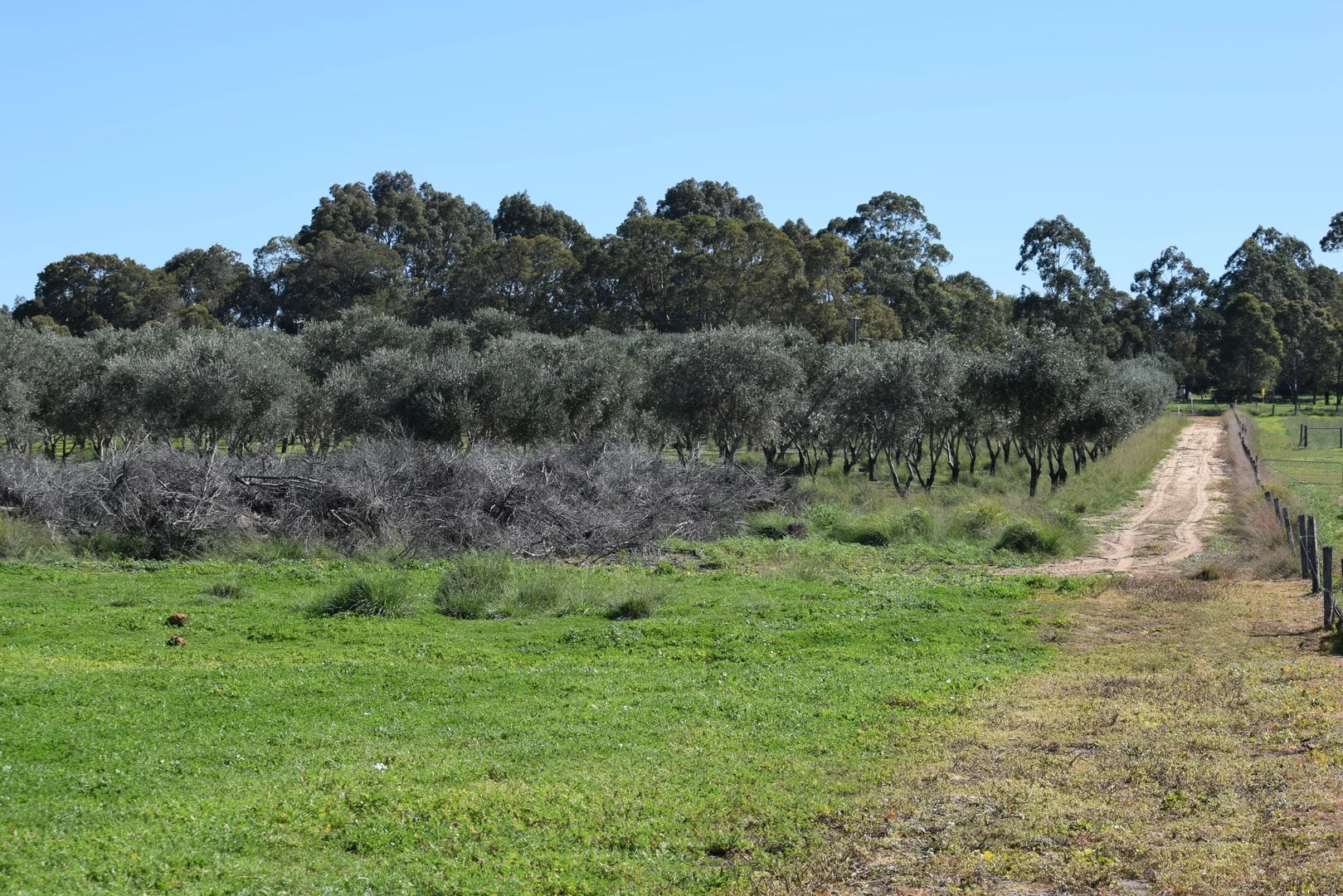 Additional image 7 of 62 Cheriton Road, Gingin WA 6503