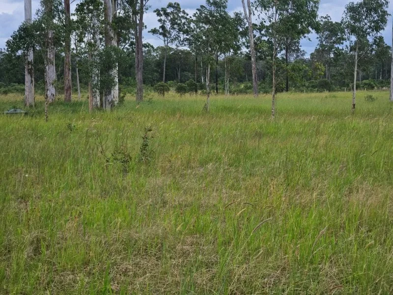 Additional image 22 of 0 Davis Road, Bauple Forest QLD 4650