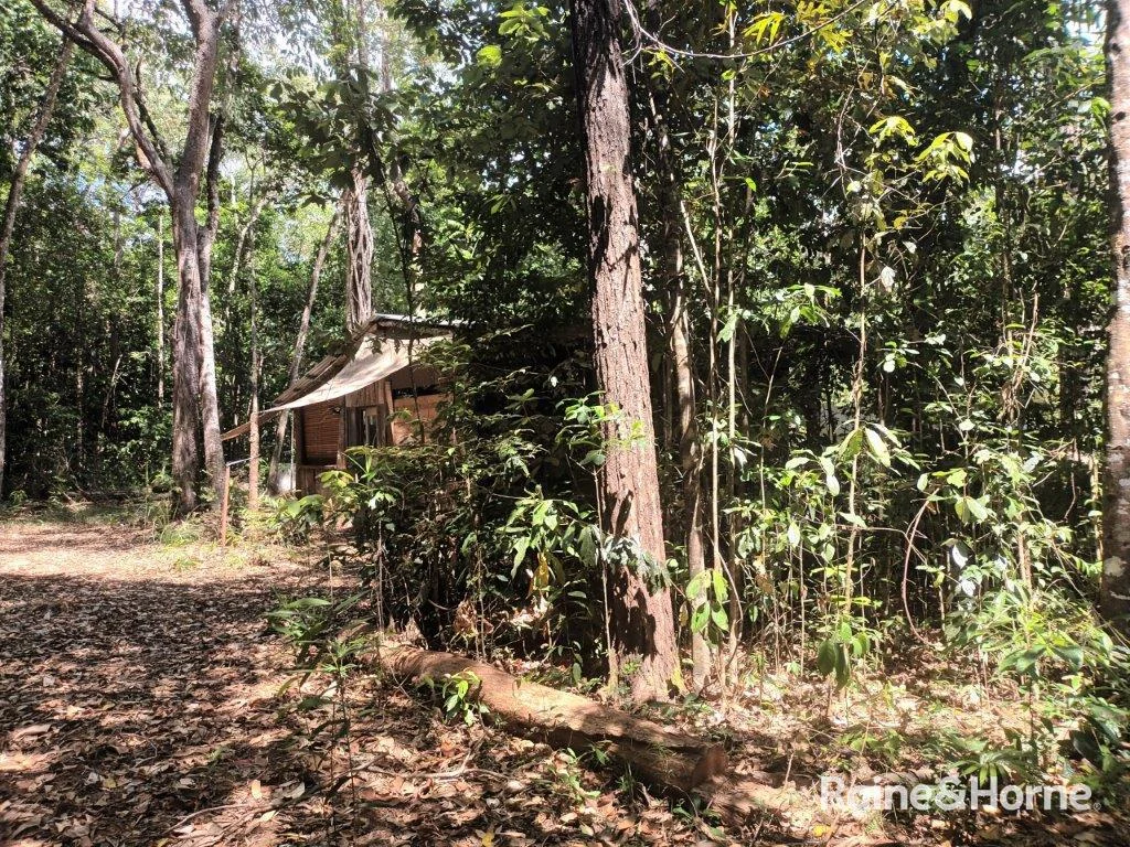 Additional image 22 of Lot 249 White Beech Road, Cow Bay, Daintree QLD 4873