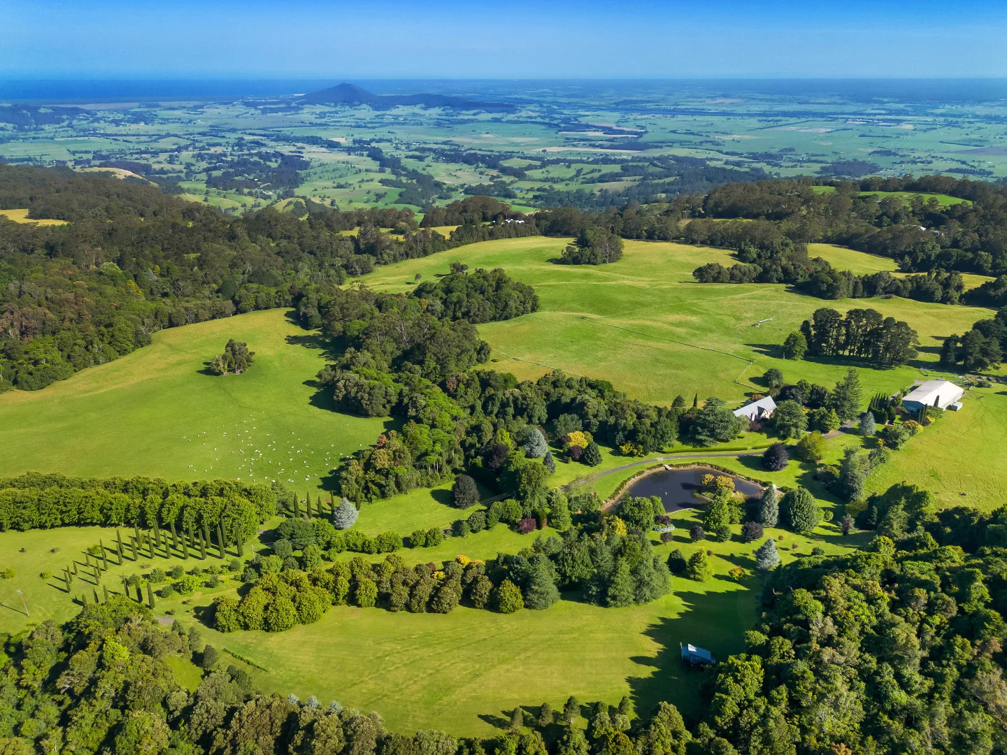 Additional image 3 of 801 Kangaroo Valley Road, Bellawongarah NSW 2535