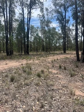 Additional image 2 of Lot 63 Ridge Road, Tara QLD 4421