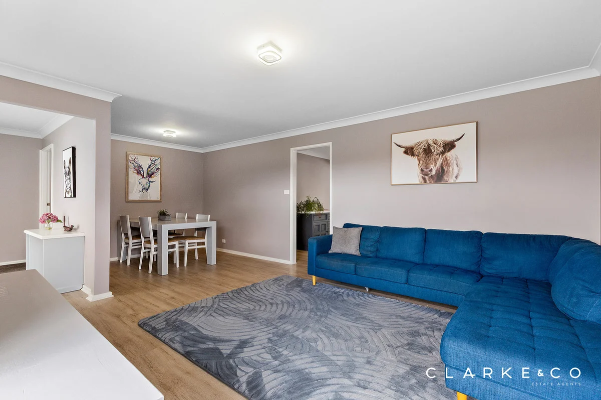 Additional image 3 of 44 John Arthur Avenue, Thornton NSW 2322