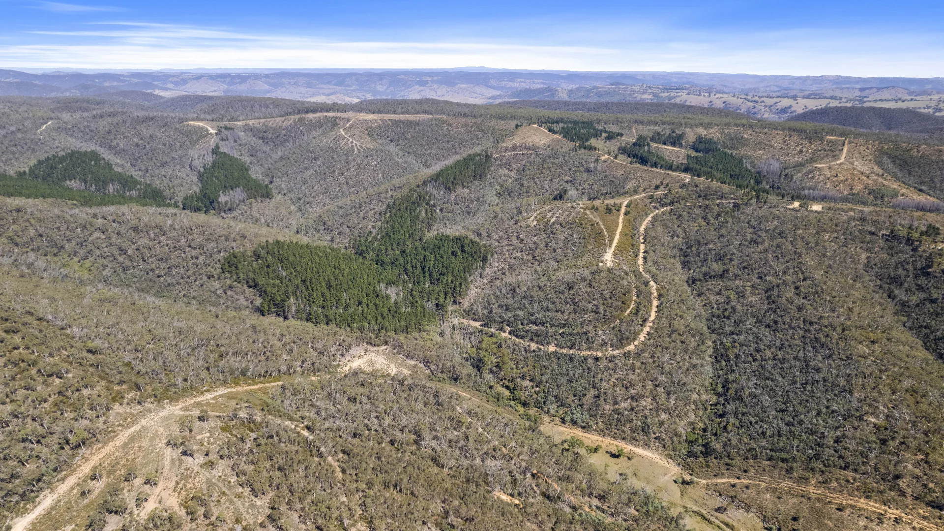 Additional image 6 of 267 New Olivers Road, Running Stream NSW 2850