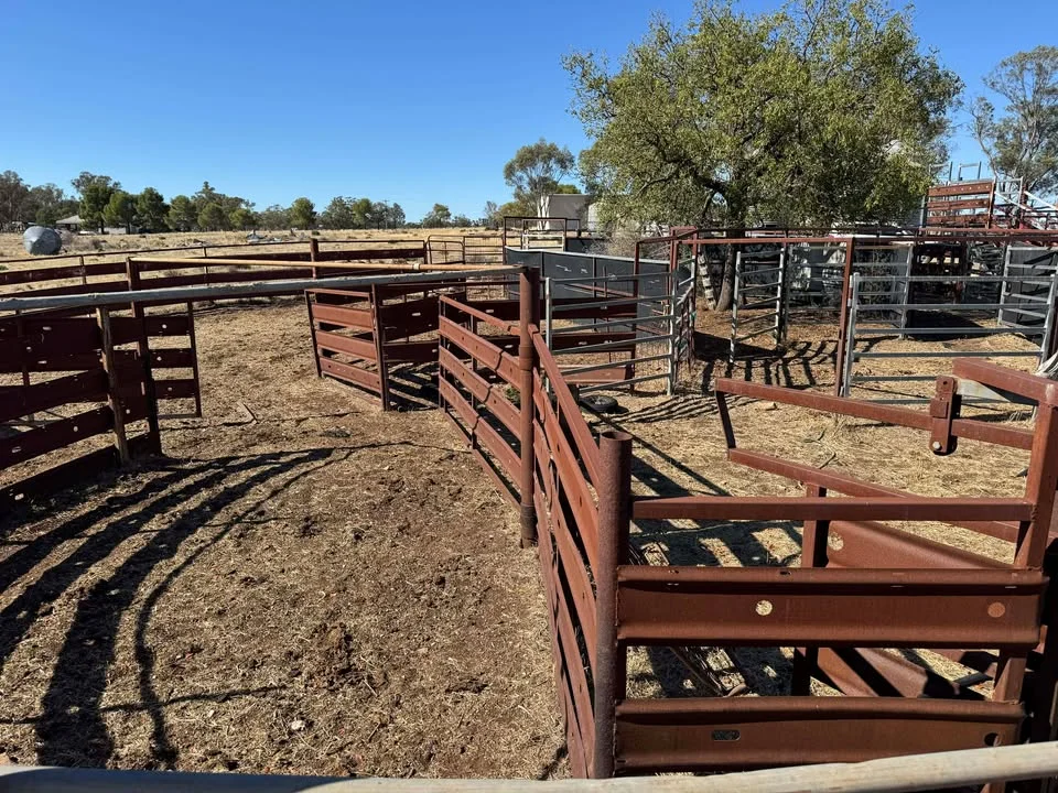 Additional image 5 of 117 Hillside Lane, Parkes NSW 2870