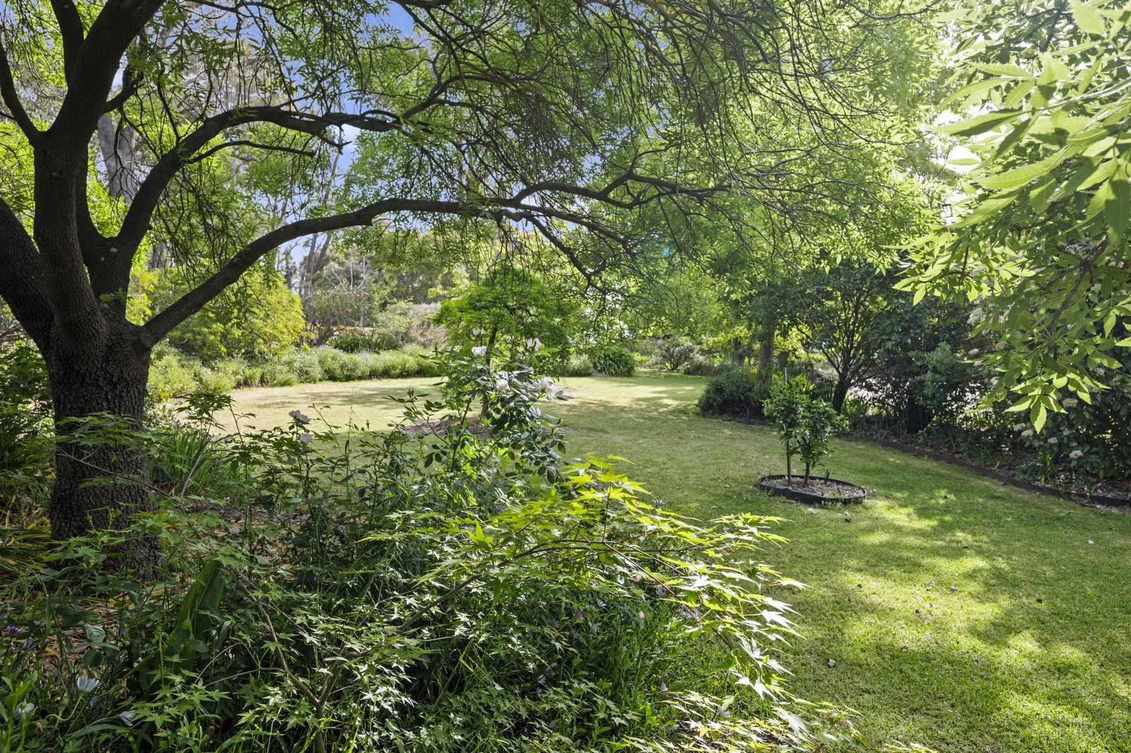 Additional image 26 of 228 Gandini Lane, Lima East VIC 3673