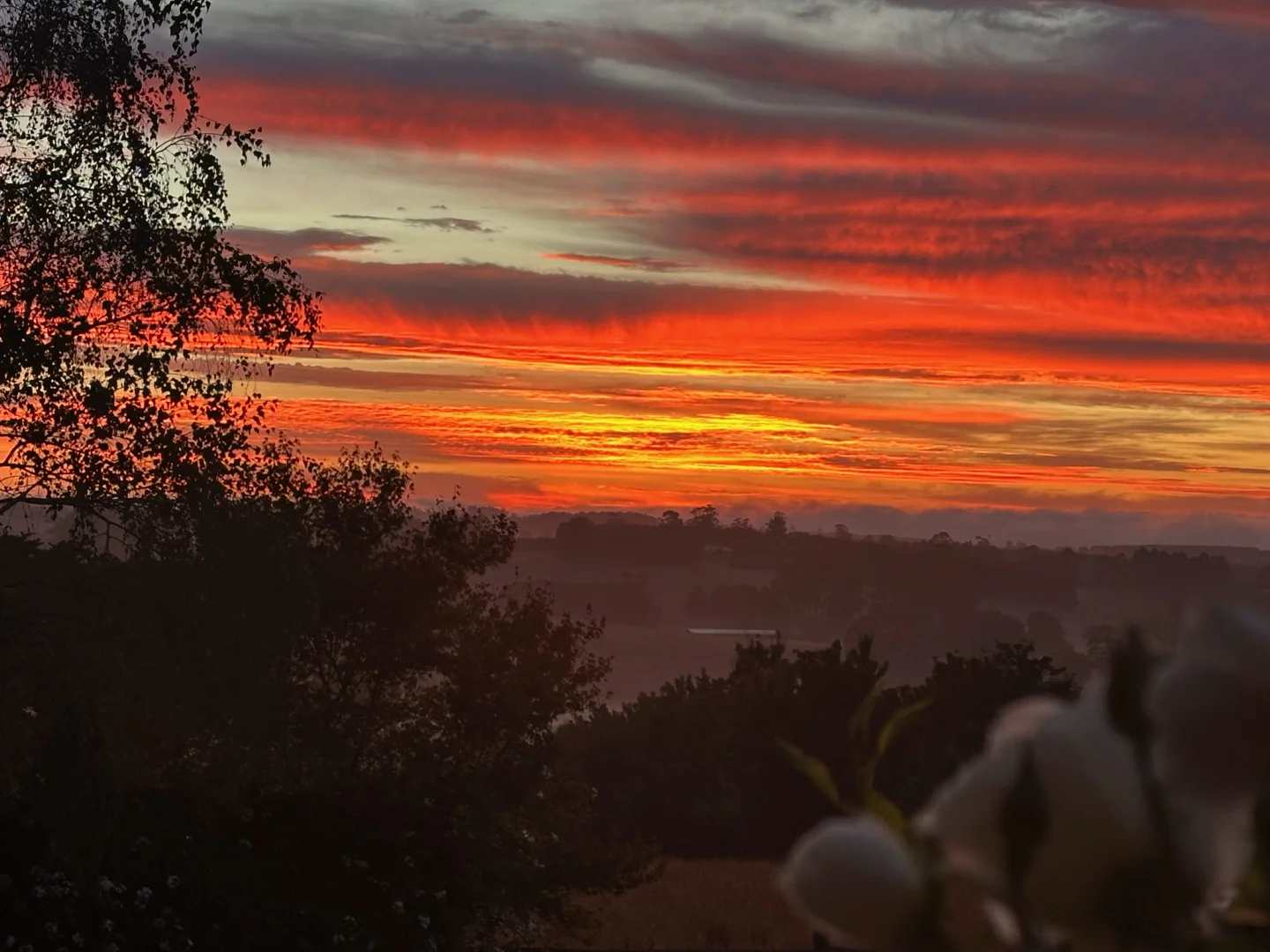 Additional image 30 of 145 Christies Road, Warragul VIC 3820